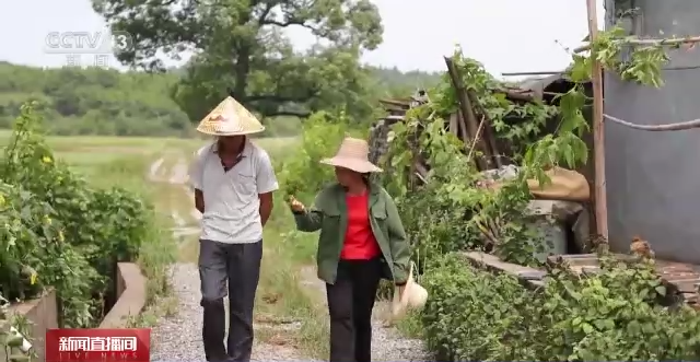 聚焦二十大丨石玉莲：把饭碗牢牢端在自己手中