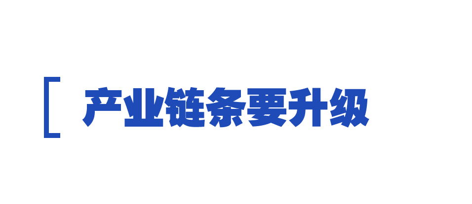 时政特稿丨中央一号文件里的“土特产”