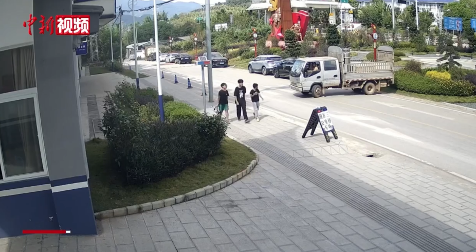 云南宁洱：警民合力救助落难苍鹭