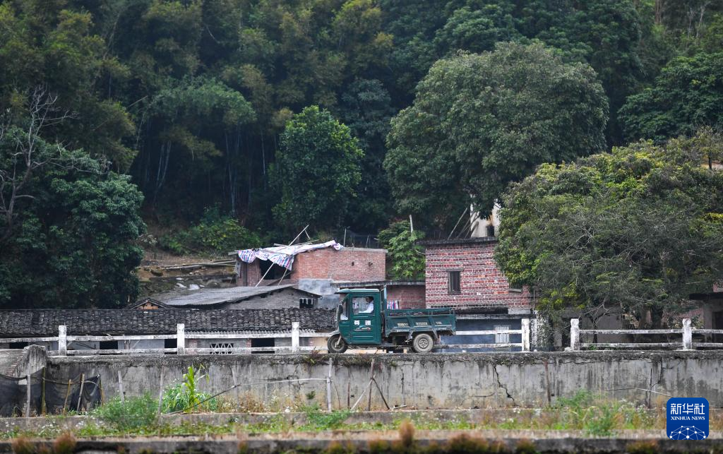 新春走基层丨守护乡村30载的“拄拐村医”