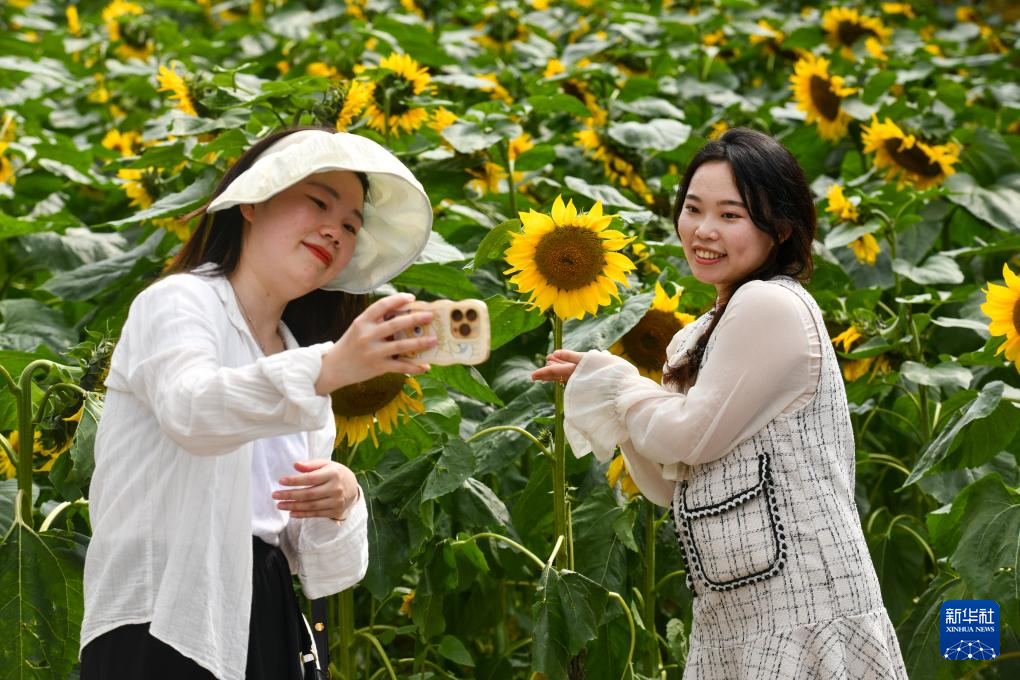 深圳：花开春意暖