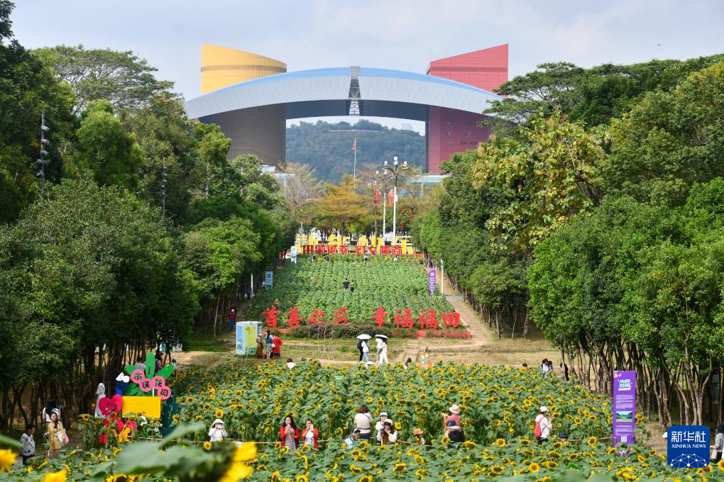 深圳：花开春意暖