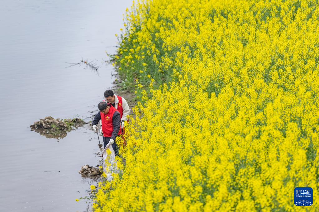 川渝“一抹志愿红” 守护碧水向东流