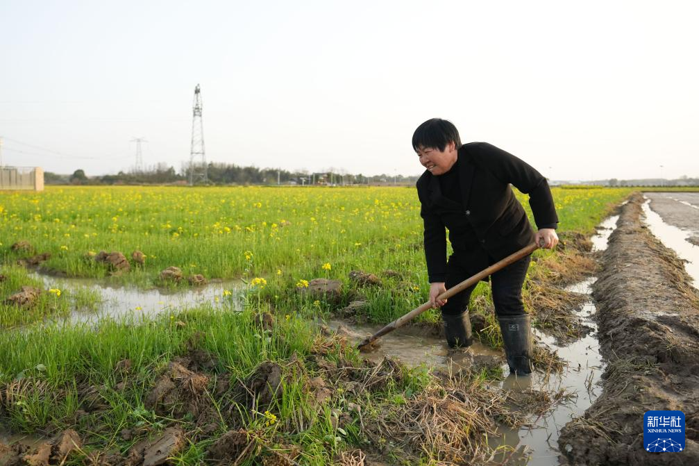 湖南：抢抓农时