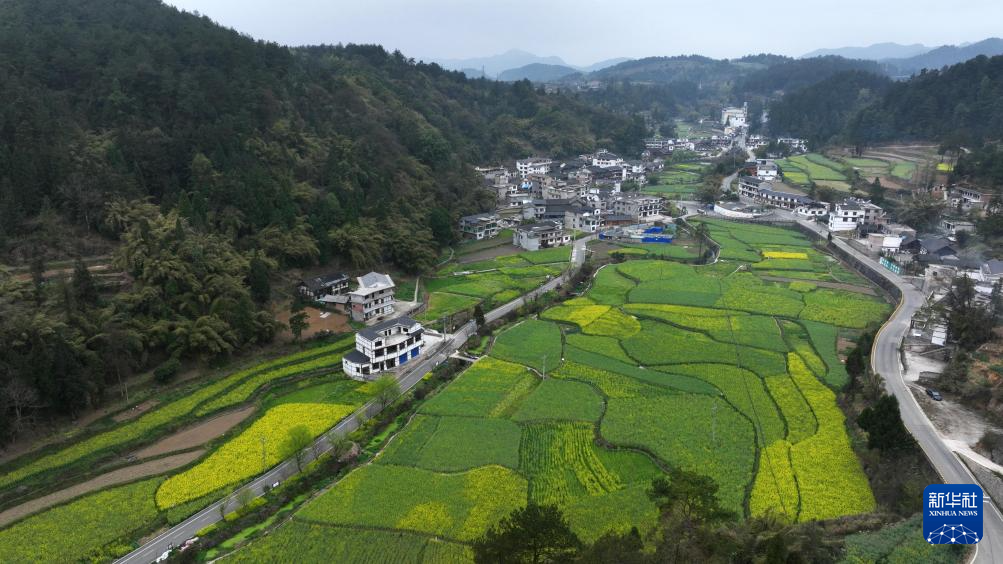 贵阳王岗：布依村寨春光美