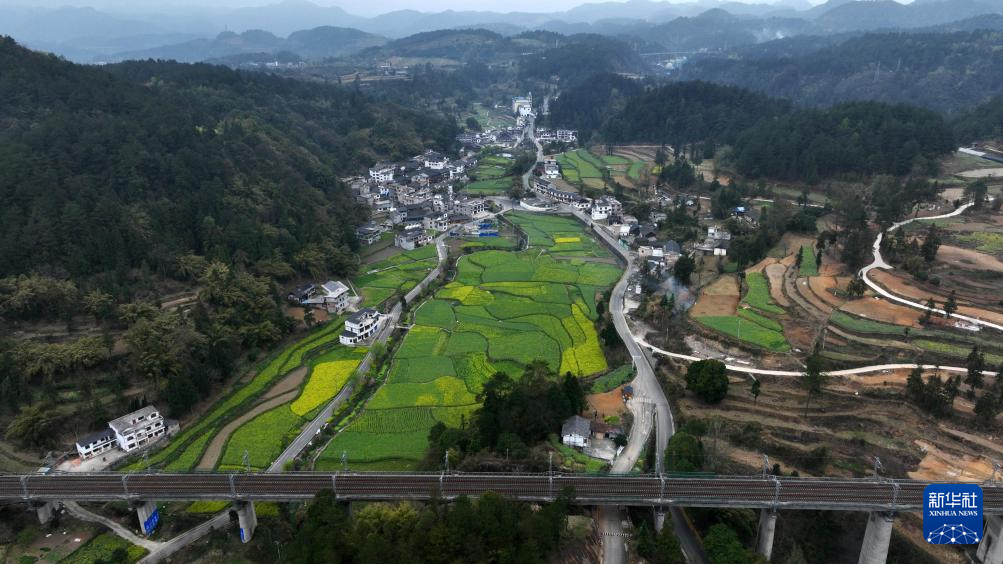 贵阳王岗：布依村寨春光美