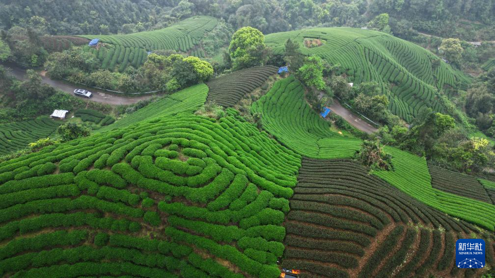 春满八桂大地