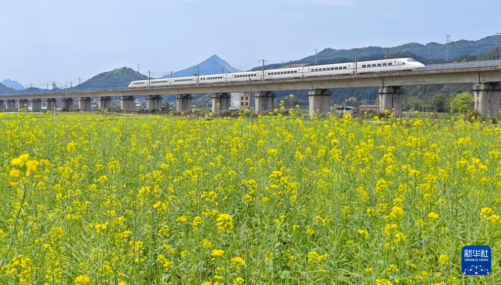 春满八桂大地