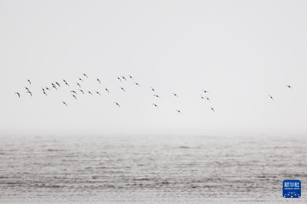 上海：湿地生态美