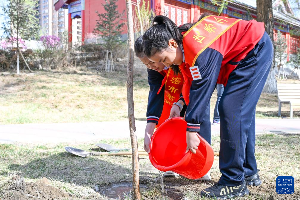 新疆哈密：春日同植“左公柳”