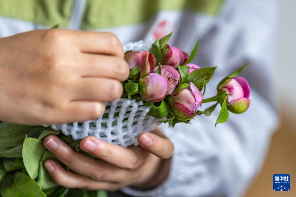 重庆垫江：做好“花文章” 带活“花经济”