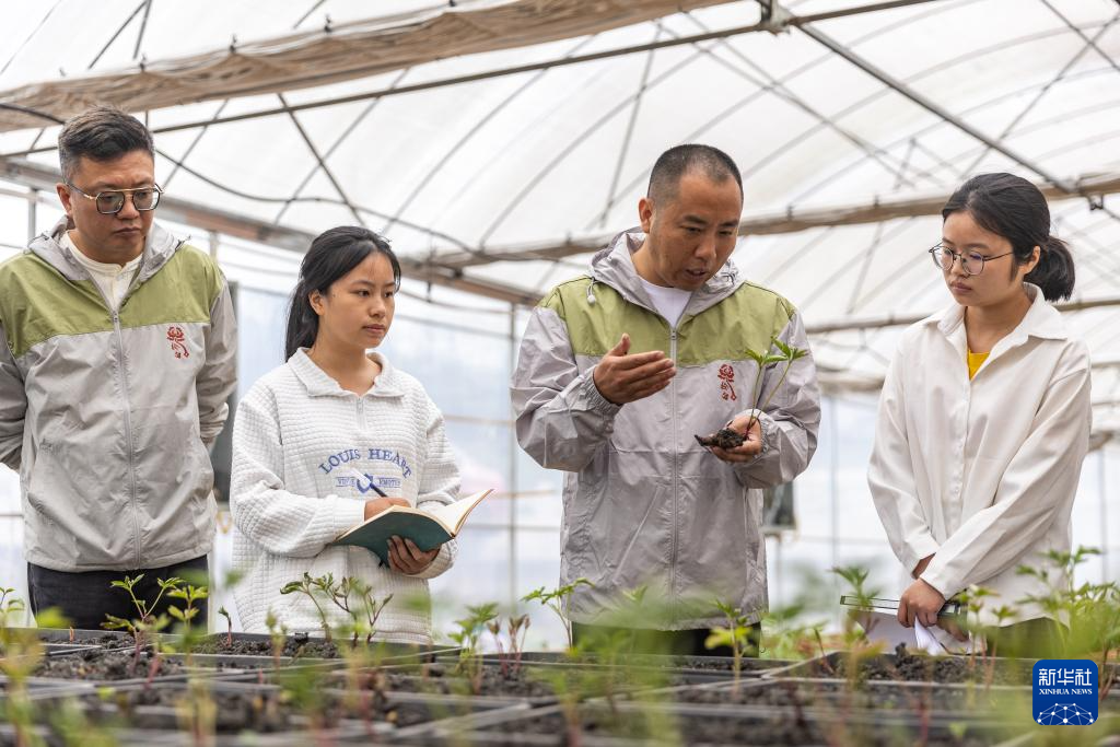 重庆垫江：做好“花文章” 带活“花经济”