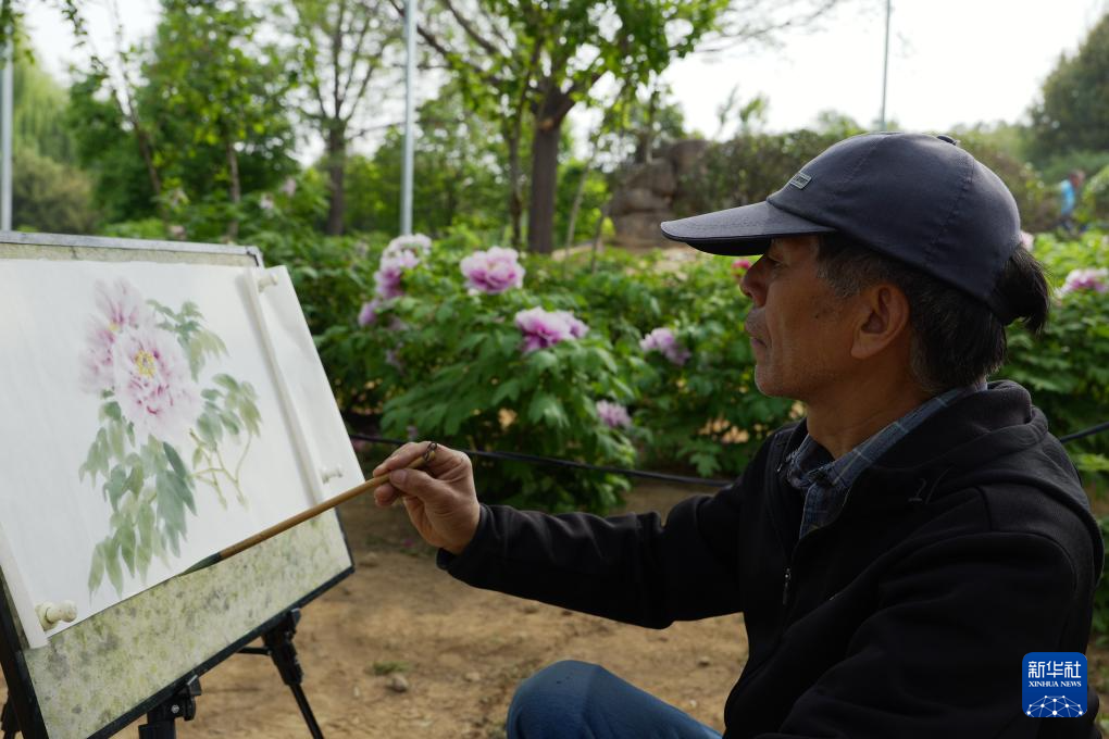 千年古都的“花”样年华