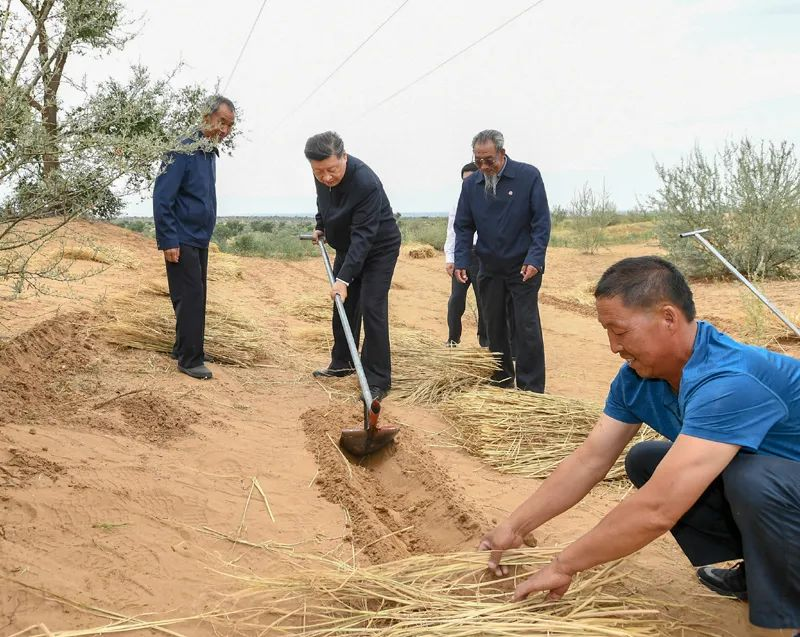 追光的你丨林场迎来了一位特殊的“治沙人”