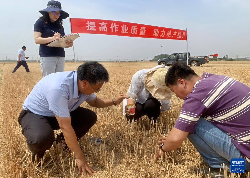 新华全媒+｜山东：机收小麦 减损增产