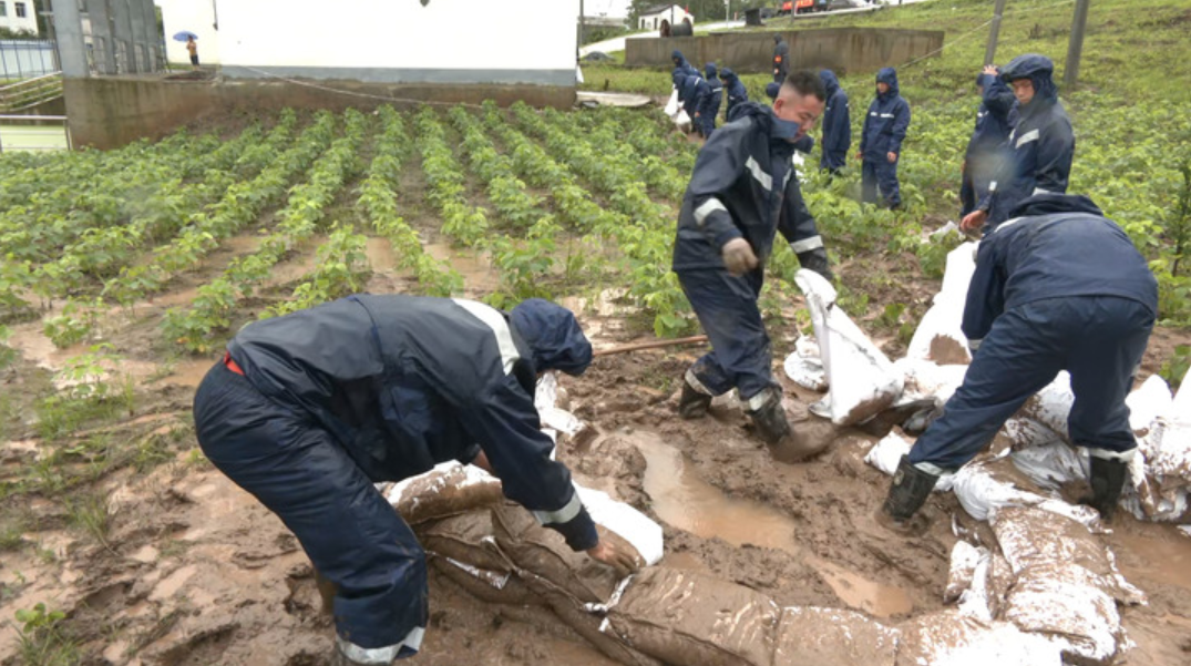 “我回家防汛去”！一封“家书”从九江发出之后……