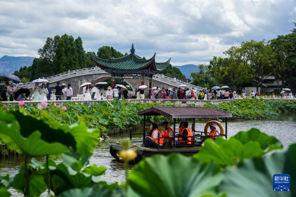 昆明：荷花盛开引客来