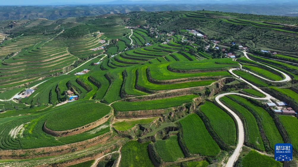 “四好农村路”串起塞上和美乡村