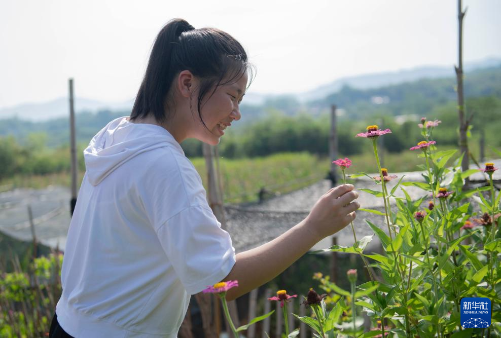 四季中国｜守护白姜的田间少女