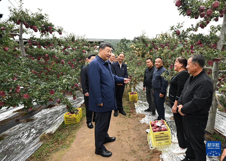 习近平在甘肃考察