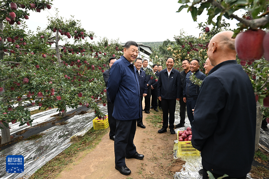 习近平在甘肃考察