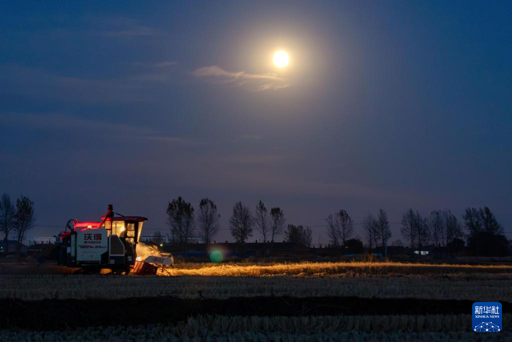 年度最大满月现身夜空