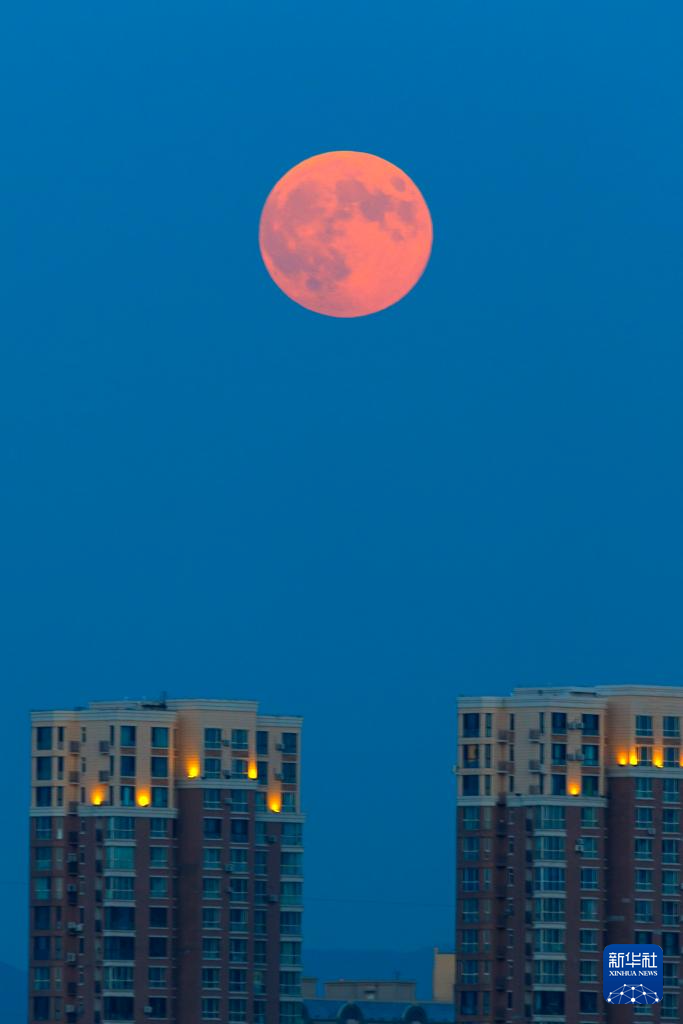 年度最大满月现身夜空