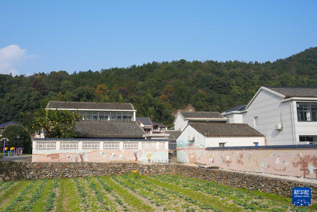 高质量发展调研行丨浙江舟山：建设海岛美丽乡村