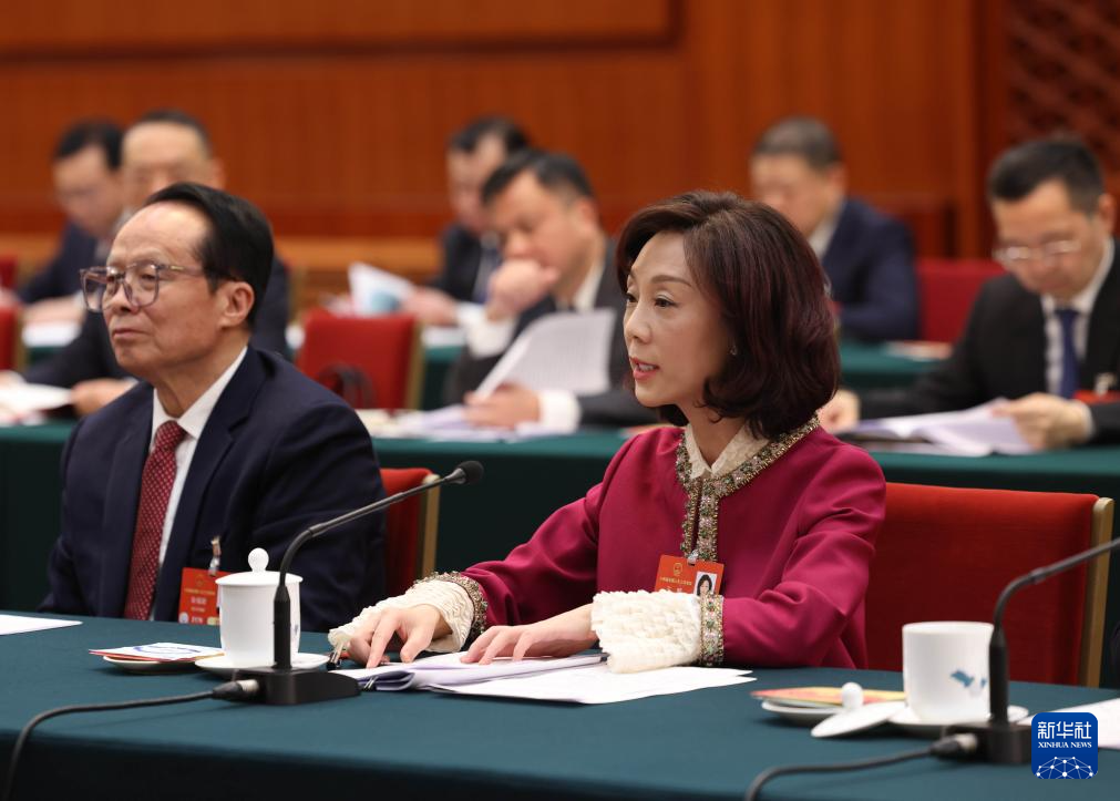 两会丨各代表团审议政府工作报告