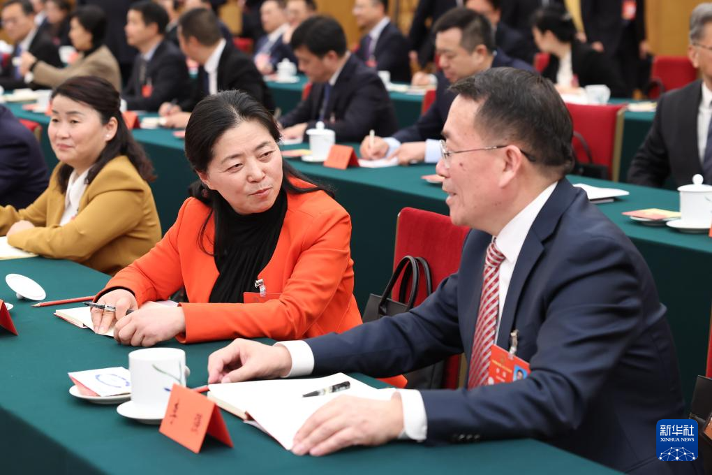两会丨各代表团审议政府工作报告