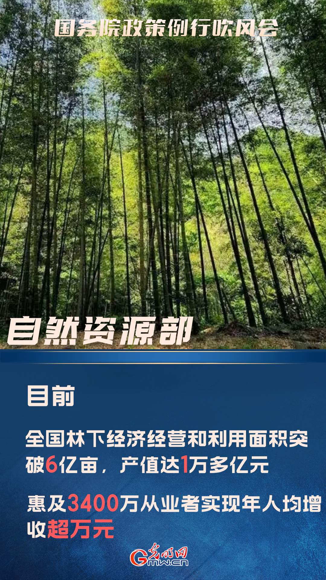 自然资源部：“四库”联动 3400万林下经济从业者年人均增收超万元