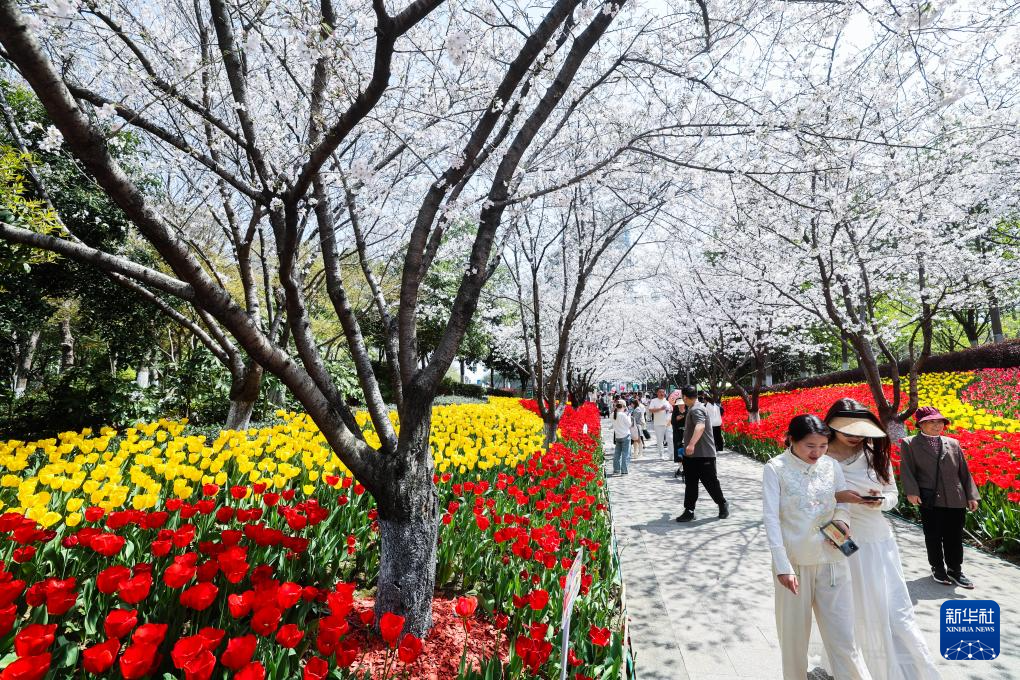 浙江绍兴：春季花海开启赏花热