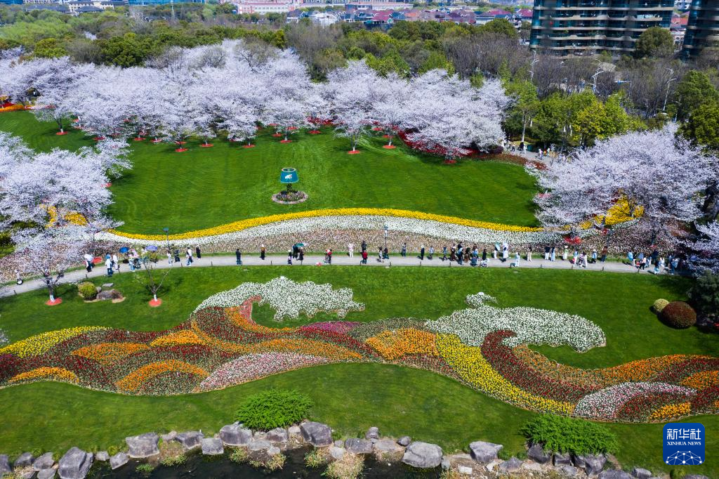 浙江绍兴：春季花海开启赏花热