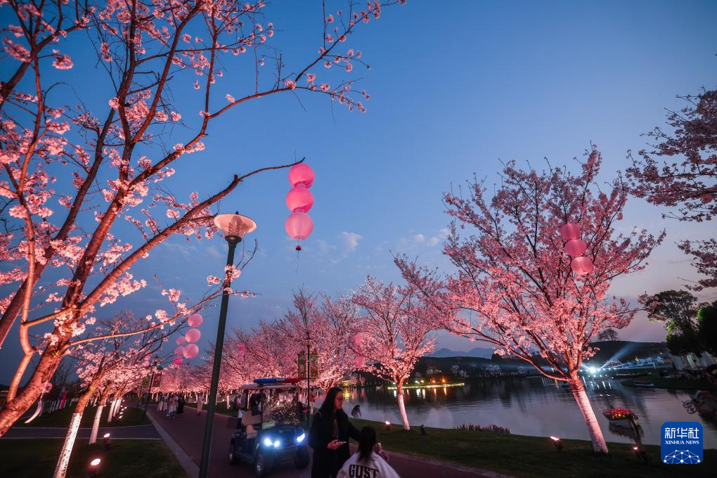 美丽乡村开启“春日花朝节”