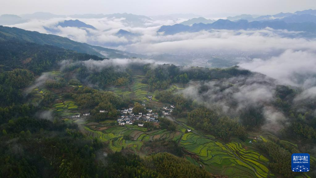 云海古村春光美