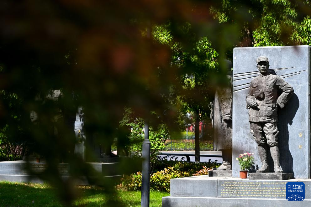 光影流年丨没有结束的寻找