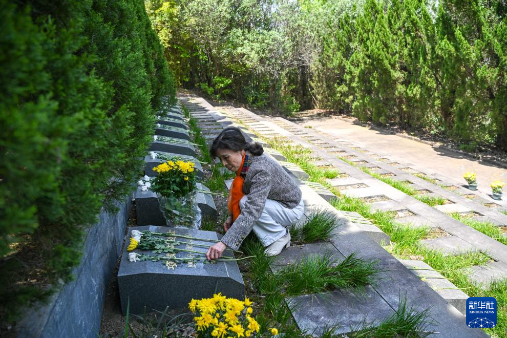 光影流年丨没有结束的寻找