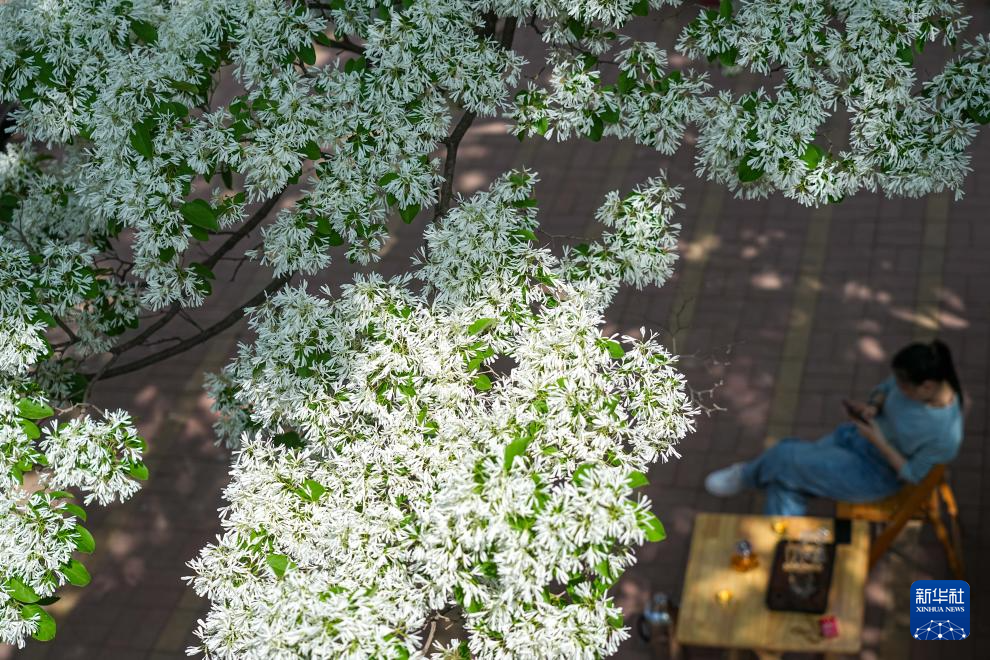 山东济南:休闲庭院激发消费新活力