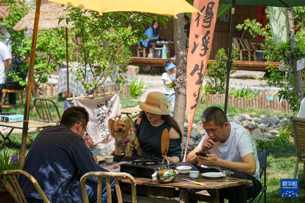 山东济南:休闲庭院激发消费新活力