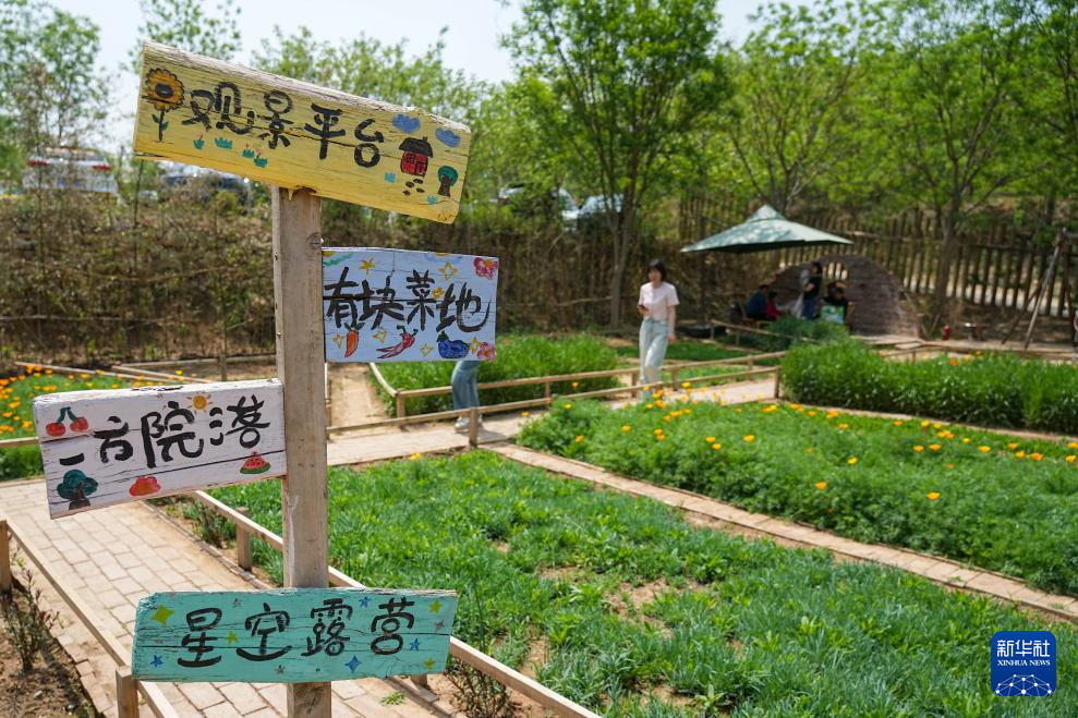 山东济南:休闲庭院激发消费新活力