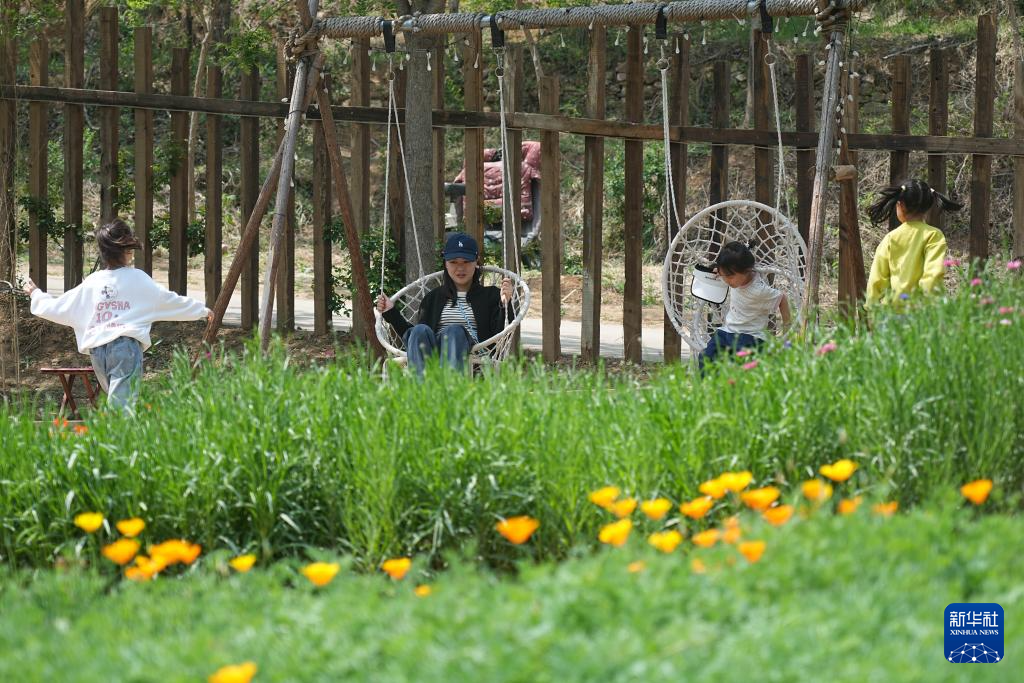 山东济南:休闲庭院激发消费新活力
