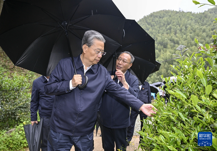 赵乐际在福建调研和开展执法检查时强调 围绕大局 依法履职 为推动高质量发展作出人大贡献
