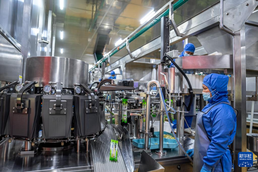 云南盐津： 小竹子做成大产业