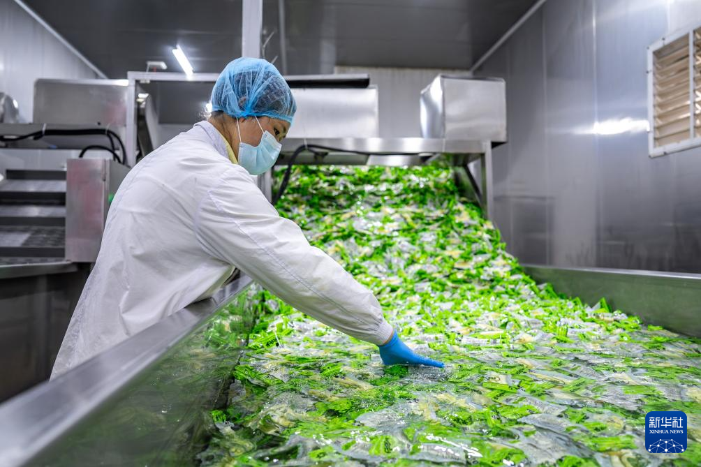 云南盐津： 小竹子做成大产业