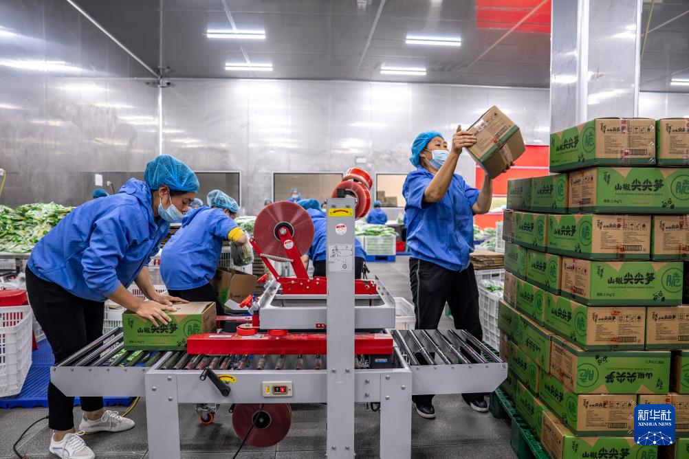 云南盐津： 小竹子做成大产业