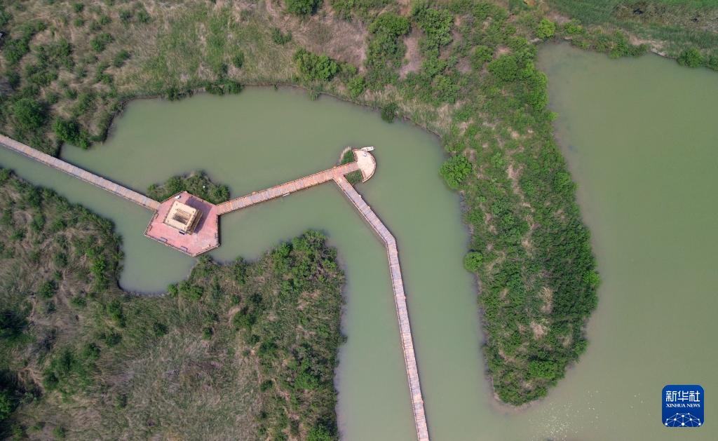 黄河三角洲生机盎然