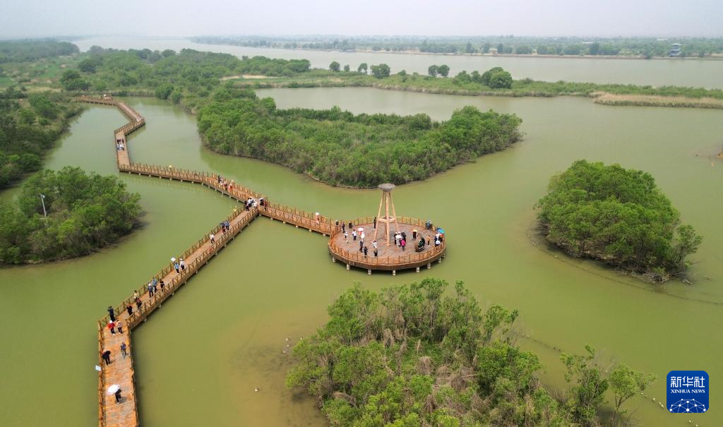 黄河三角洲生机盎然