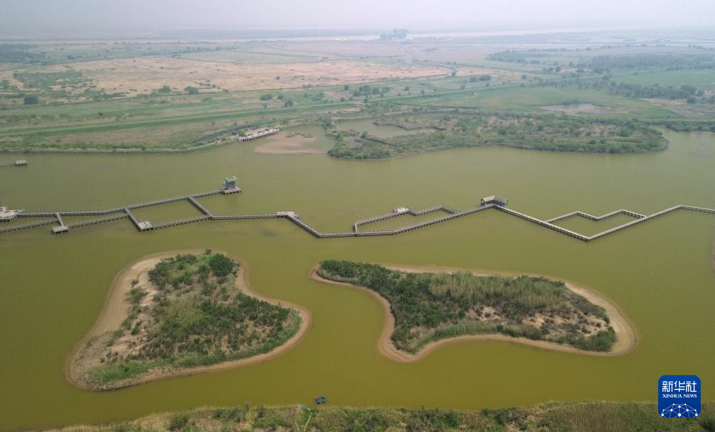 黄河三角洲生机盎然