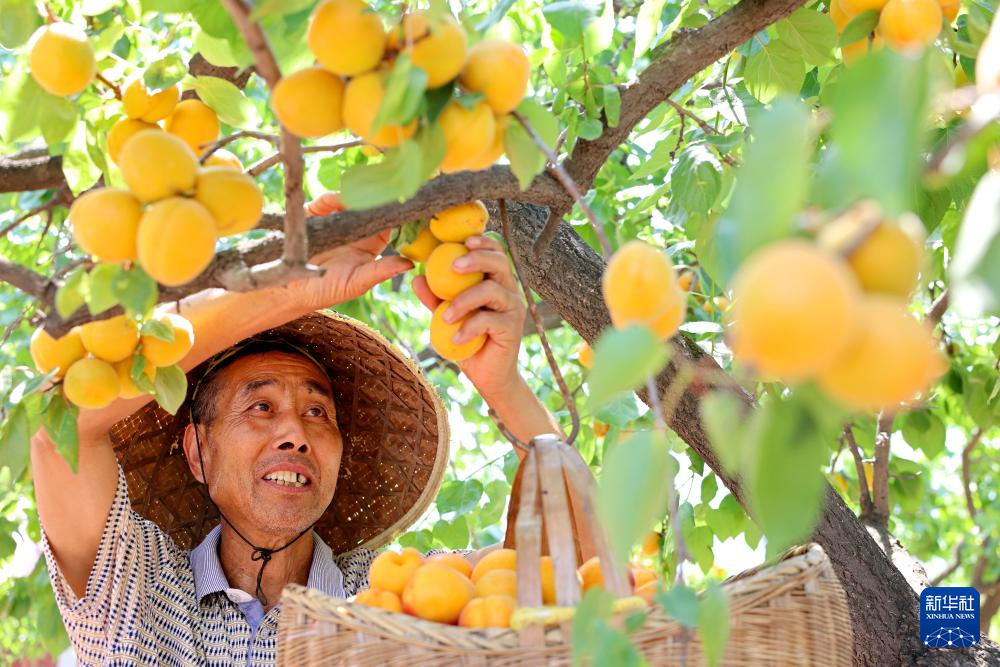 小满将至农事忙