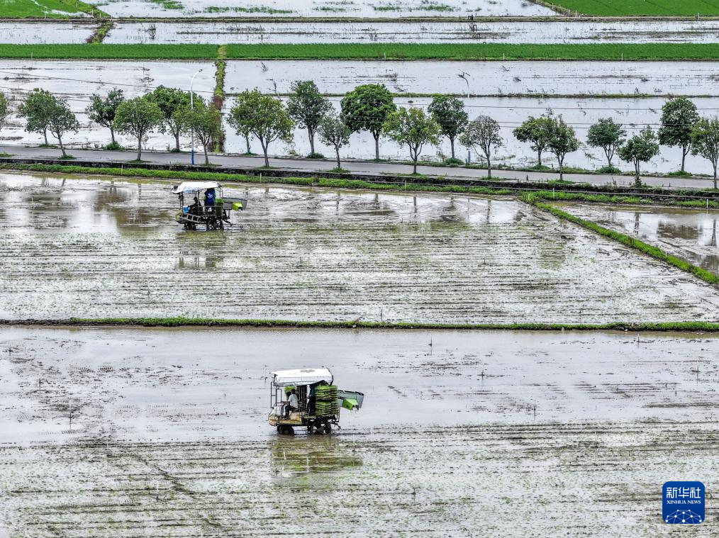 小满将至农事忙